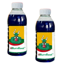 Burnroot