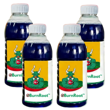 Burnroot